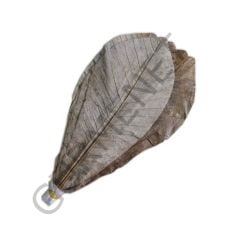 Gaishi Fresh Houba Leaf Hoba Yaprağı Genişlik 14 Cm. 20 Ad