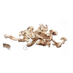Doğal Matsutake Mantarı Dilimli Donuk 1 Kg.