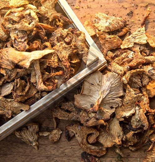 Sarıkız Mantarı Kurutulmuş 1 Kg