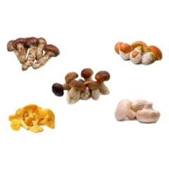 Timwel Dondurulmuş Karışık Mantar 1 Kg.