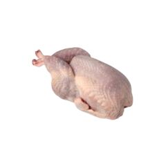 Or-Tav Bıldırcın Dondurulmuş Ortalama 1. 4 Kg 12 Adet