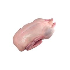 Or-Tav Ördek Bütün Dondurulmuş Ortalama 2,4 Kg.