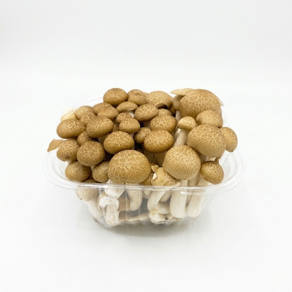Mitro Shimeji Mushroom Şimeji Mantarı Taze 150 G.
