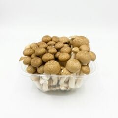 Mitro Shimeji Mushroom Şimeji Mantarı Taze 150 G.