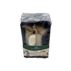 Mitro Eryngium King Oyster Mushroom Kayın Mantarı Taze 200 G.